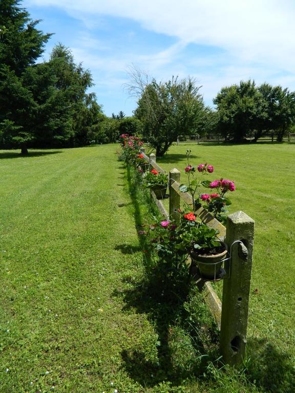 Gite De Cray Lussault-sur-Loire Eksteriør billede